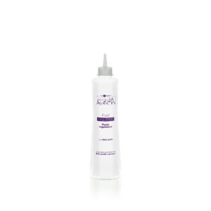 HairCompany Inimitable Tech Regulator fluide